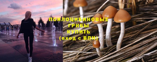 бутират Бородино