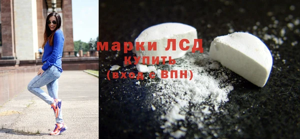 прущие грибы Богородск