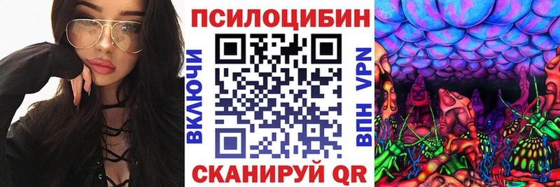 Галлюциногенные грибы Psilocybe  Усолье-Сибирское 